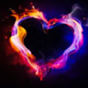 Meet your Posher, Jazzy